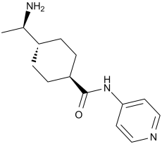 Y-27632 146986-50-7